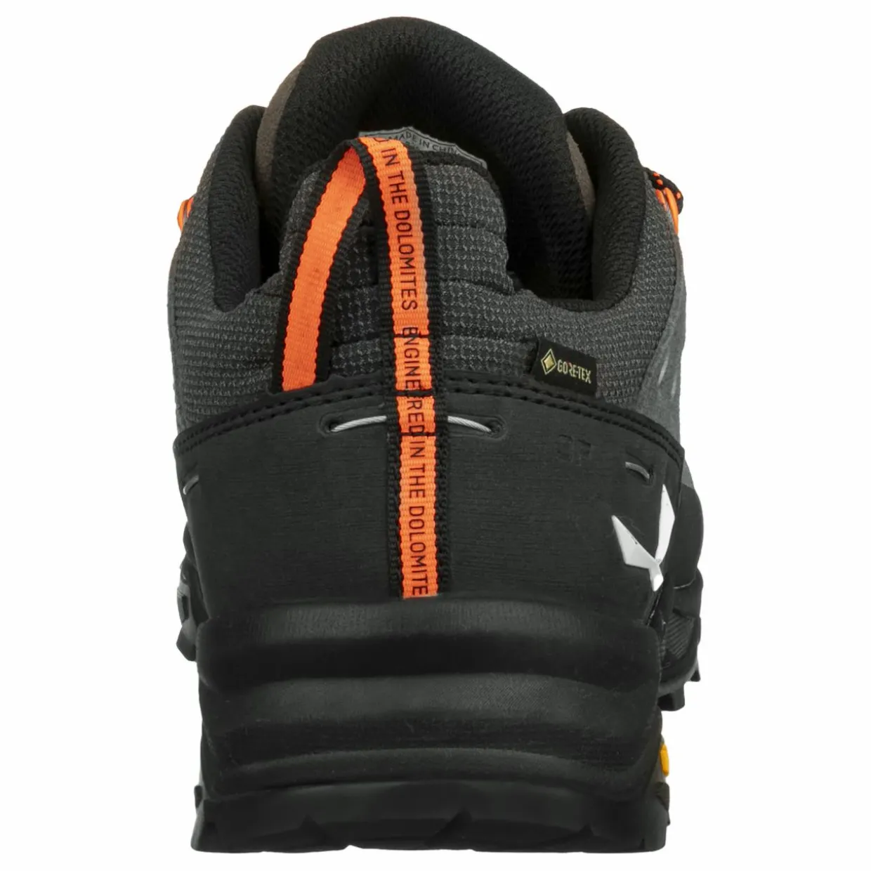 Alp Trainer 2 Gore-Tex® Shoe Men