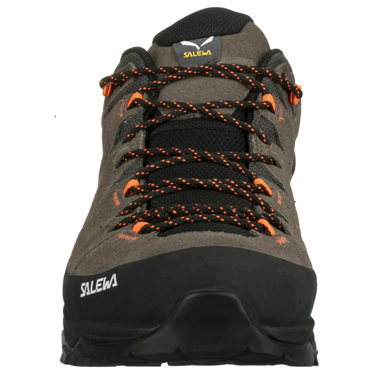 Alp Trainer 2 Gore-Tex® Shoe Men