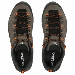 Alp Trainer 2 Gore-Tex® Shoe Men