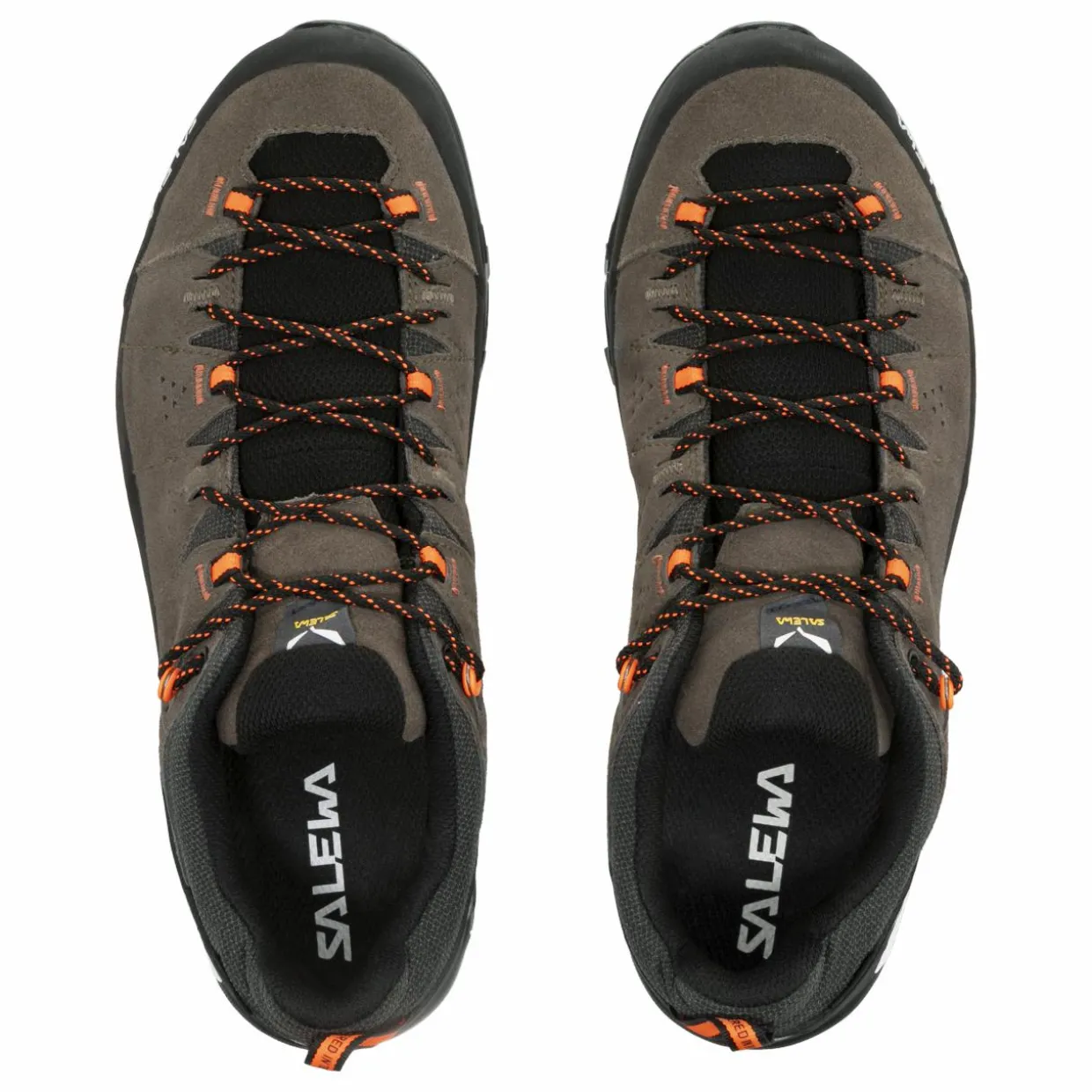 Alp Trainer 2 Gore-Tex® Shoe Men