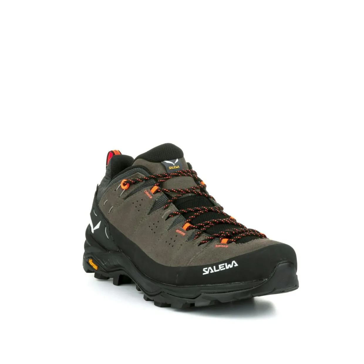 Alp Trainer 2 Gore-Tex® Shoe Men