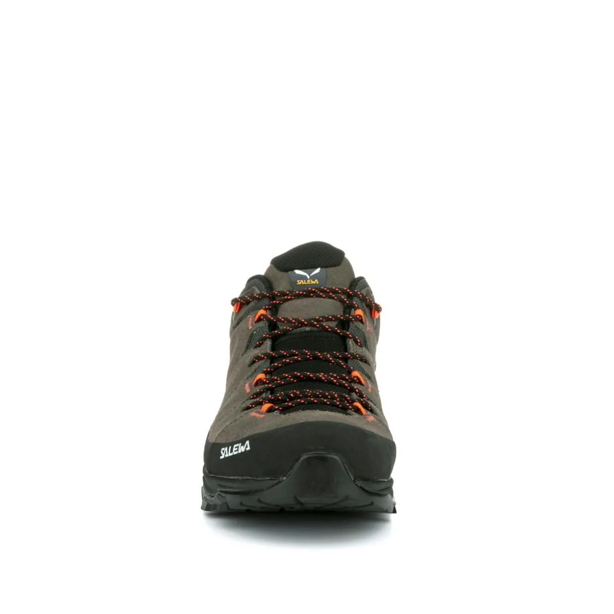 Alp Trainer 2 Gore-Tex® Shoe Men