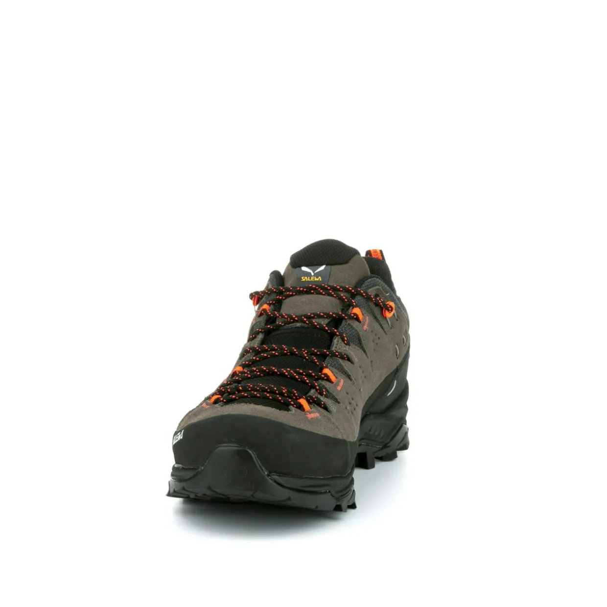 Alp Trainer 2 Gore-Tex® Shoe Men