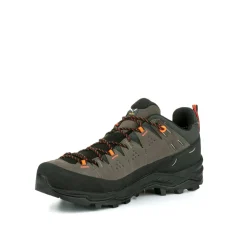 Alp Trainer 2 Gore-Tex® Shoe Men