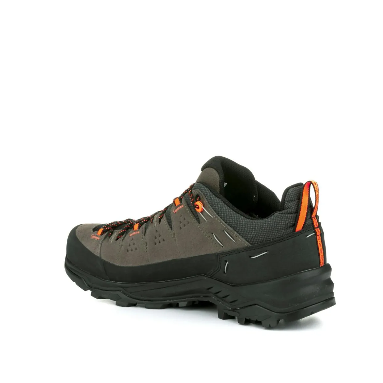 Alp Trainer 2 Gore-Tex® Shoe Men