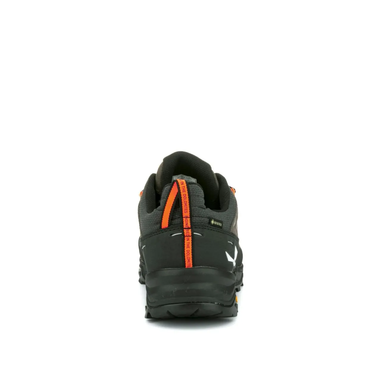 Alp Trainer 2 Gore-Tex® Shoe Men