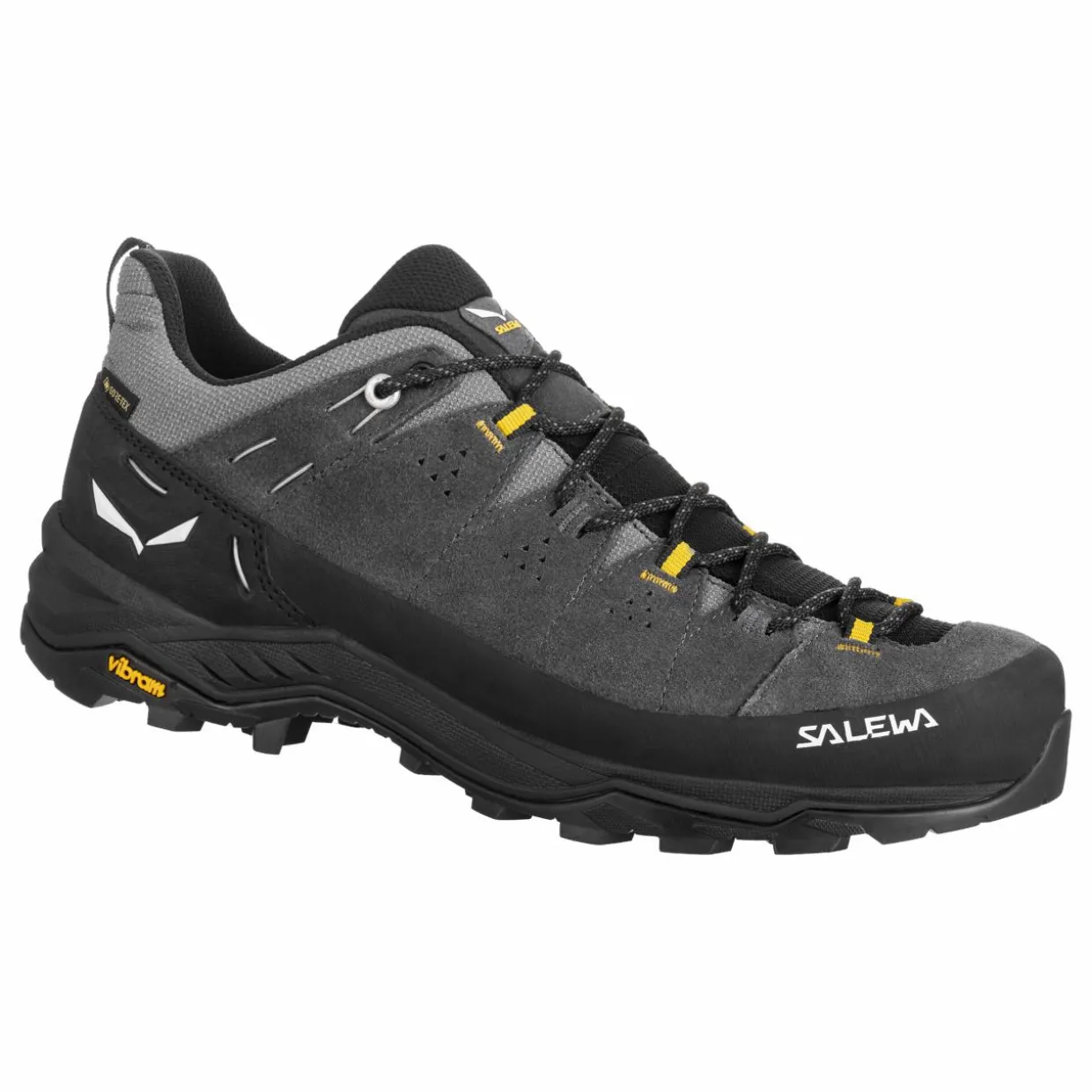 Alp Trainer 2 Gore-Tex® Shoe Men