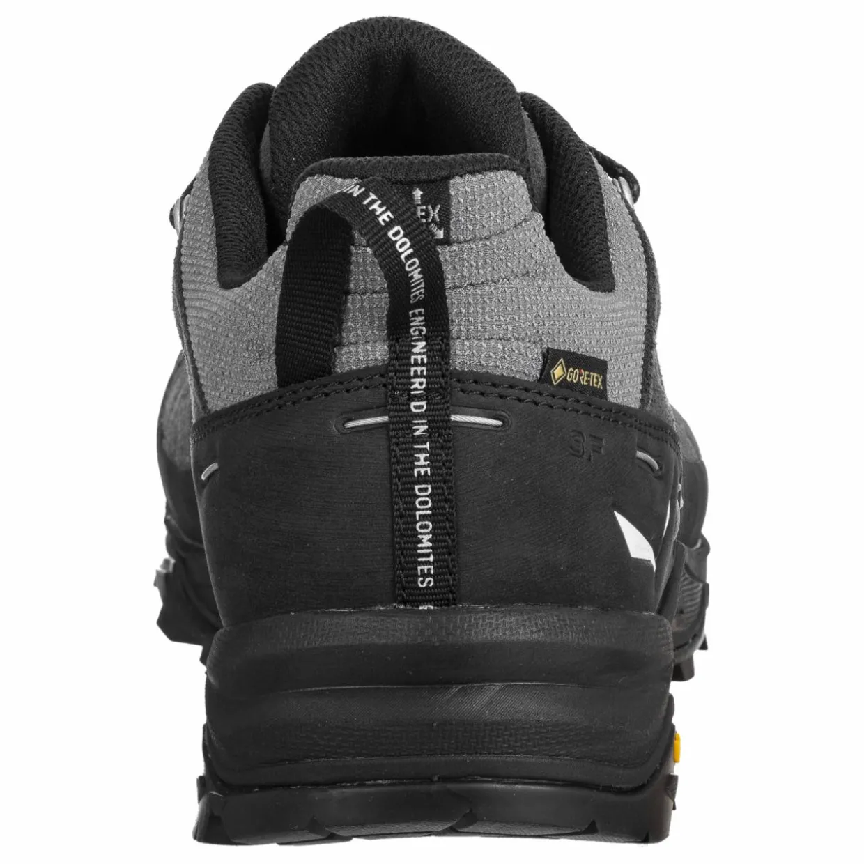 Alp Trainer 2 Gore-Tex® Shoe Men
