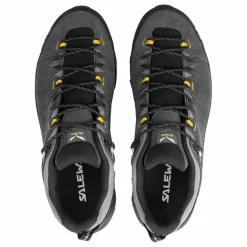 Alp Trainer 2 Gore-Tex® Shoe Men