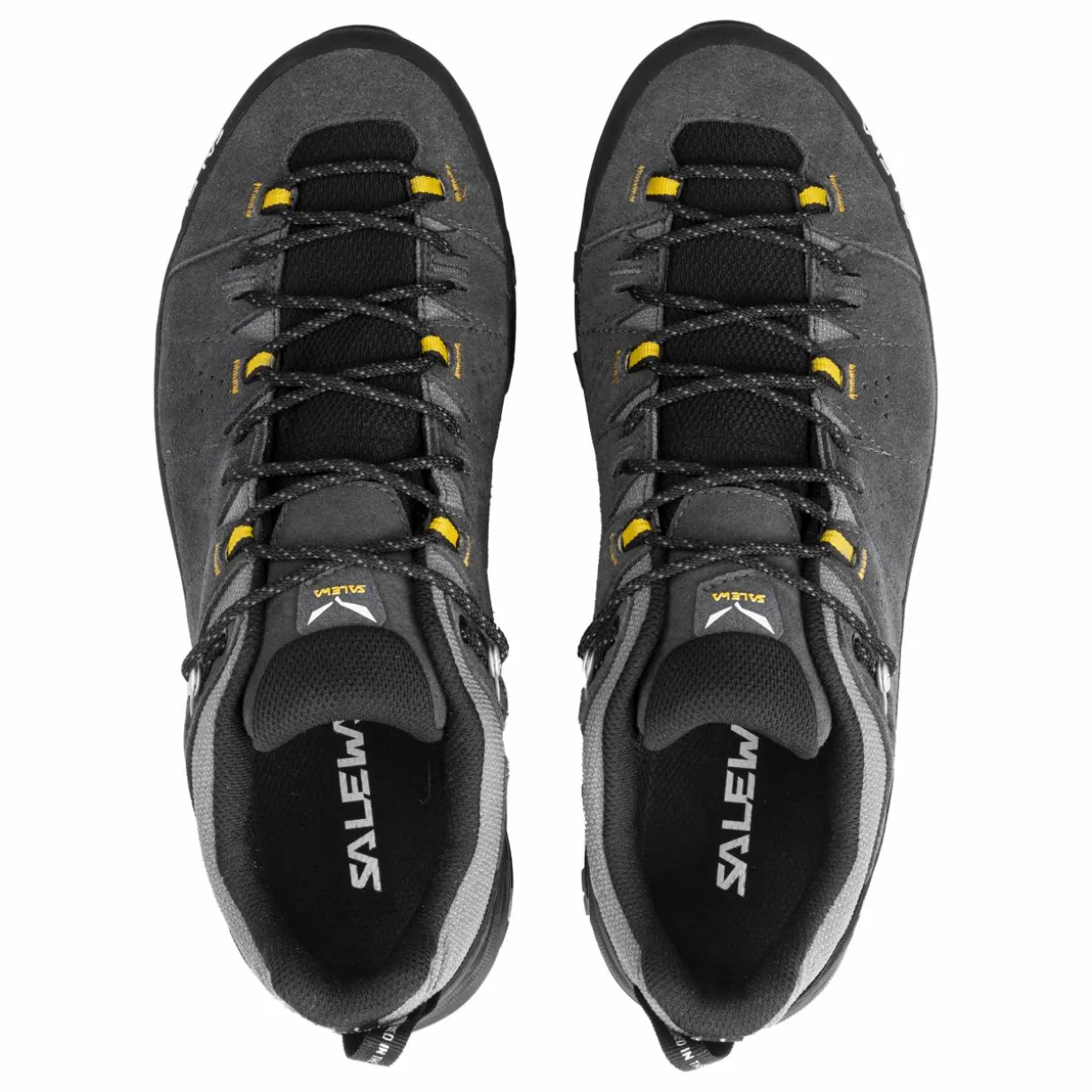 Alp Trainer 2 Gore-Tex® Shoe Men