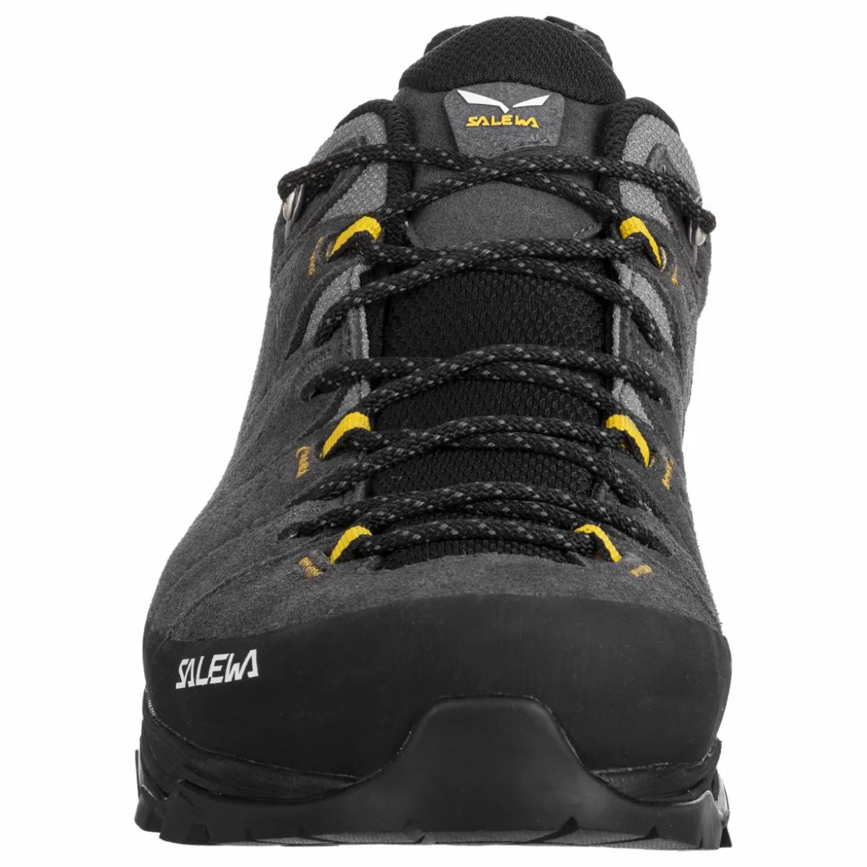 Alp Trainer 2 Gore-Tex® Shoe Men