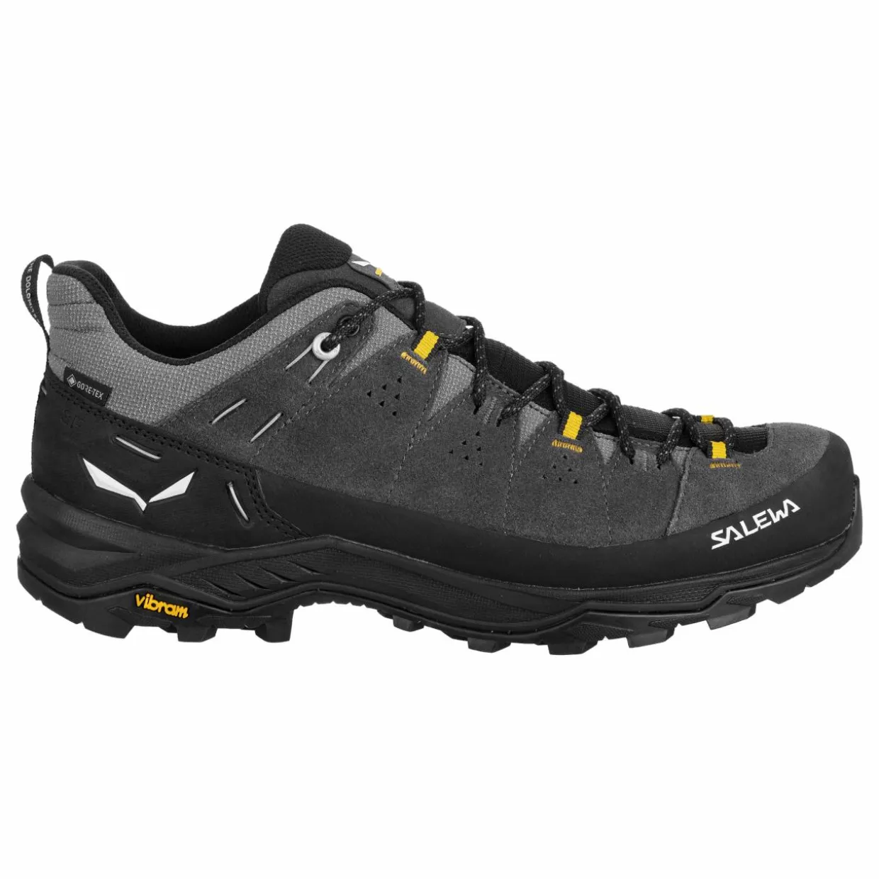 Alp Trainer 2 Gore-Tex® Shoe Men