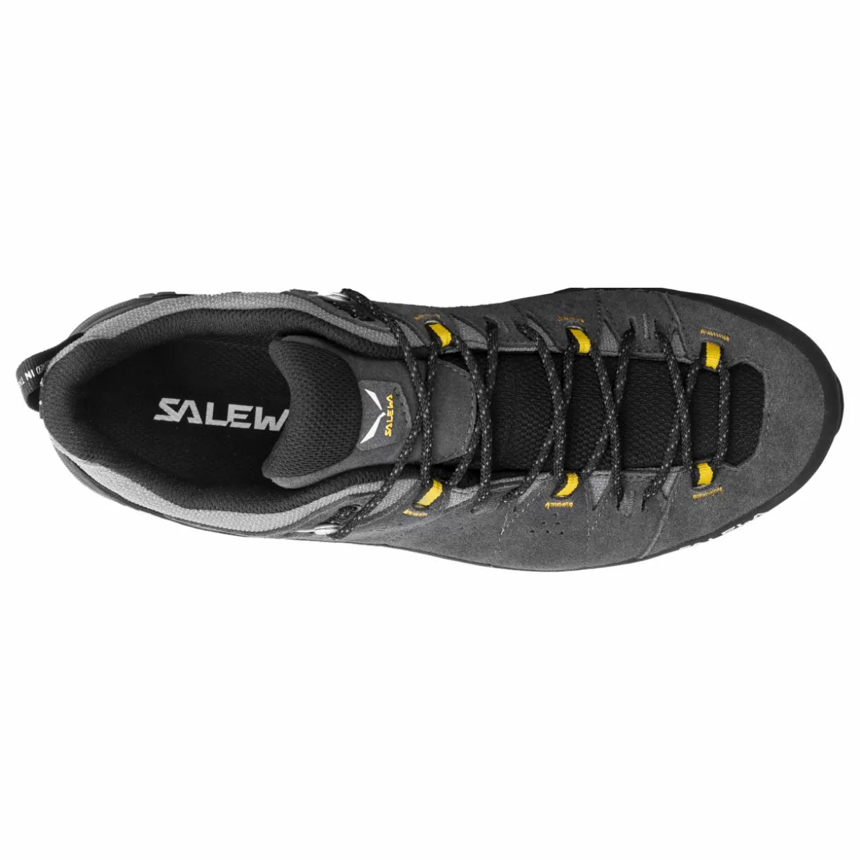 Alp Trainer 2 Gore-Tex® Shoe Men