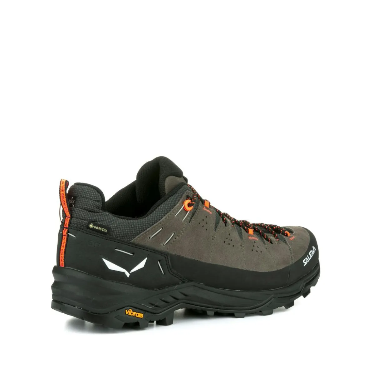 Alp Trainer 2 Gore-Tex® Shoe Men