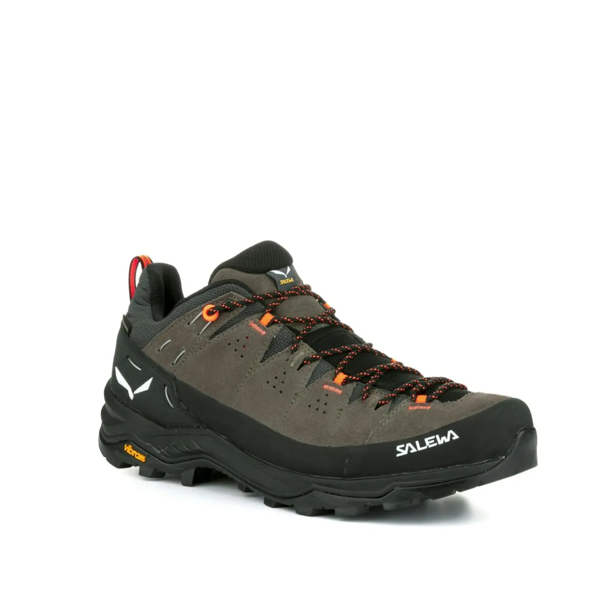Alp Trainer 2 Gore-Tex® Shoe Men