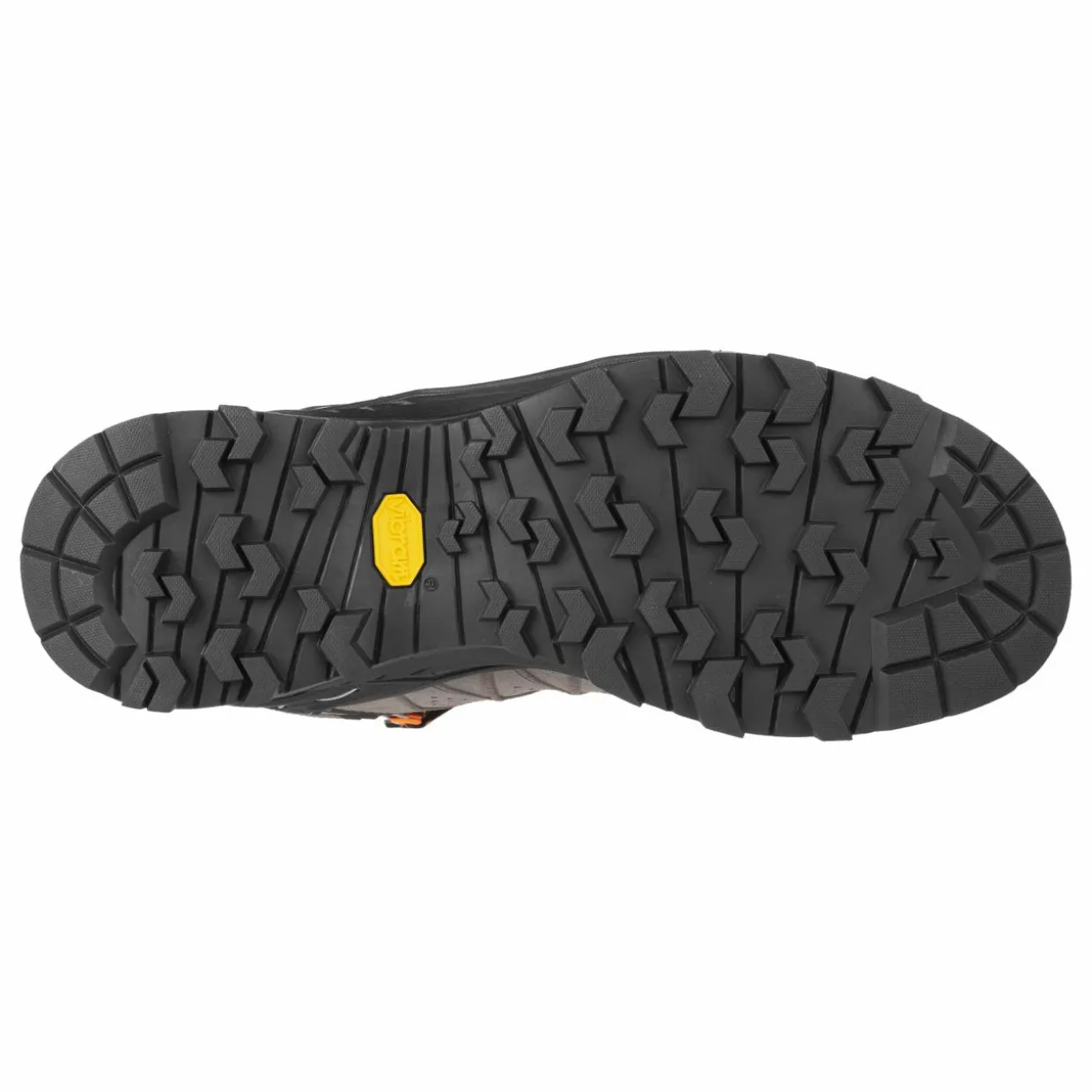 Alp Trainer 2 Mid GORE-TEX® Men's Shoe