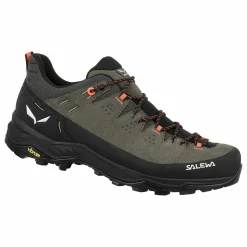 Alp Trainer 2 Shoe Men