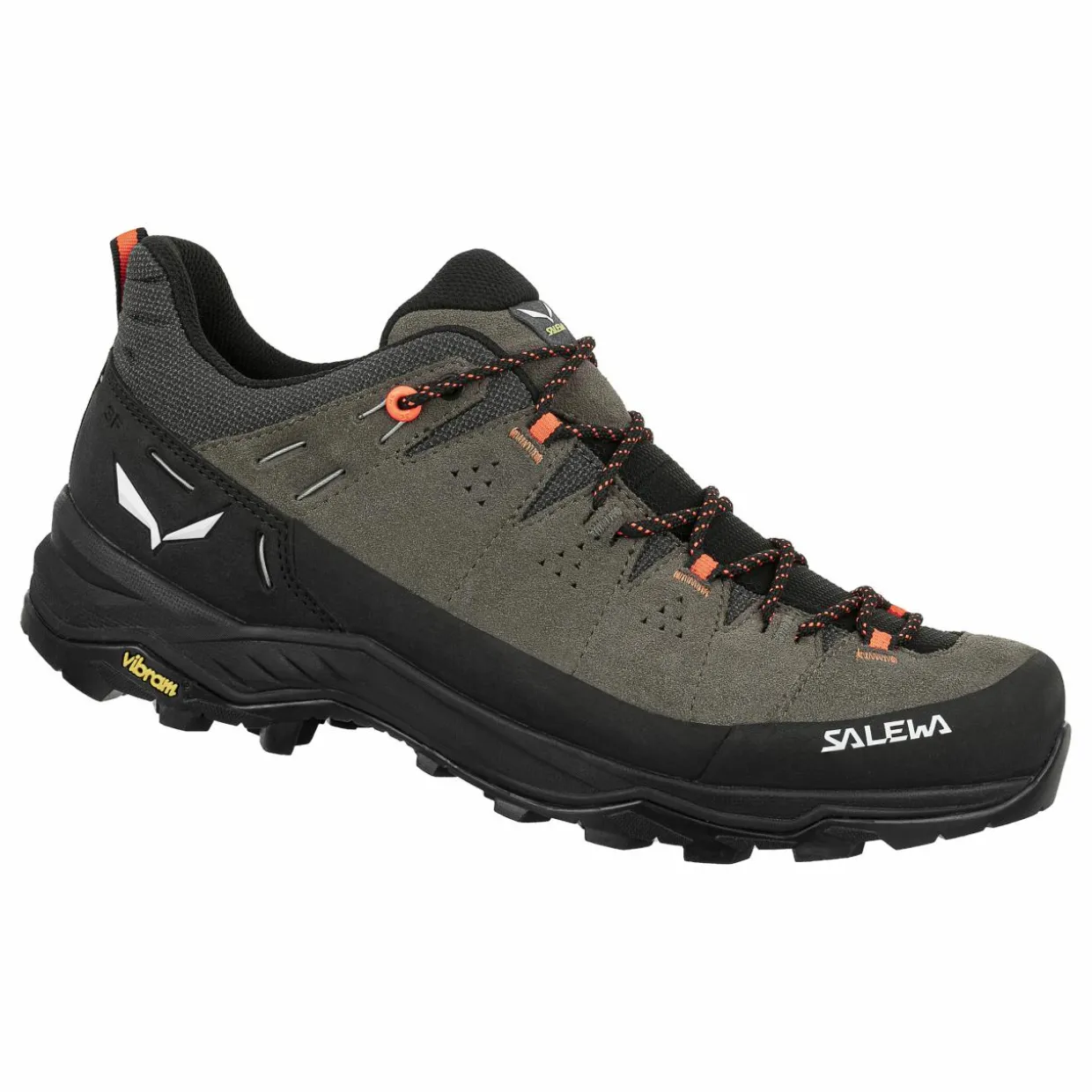 Alp Trainer 2 Shoe Men