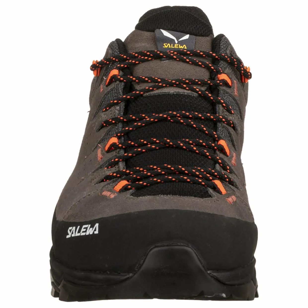 Alp Trainer 2 Shoe Men