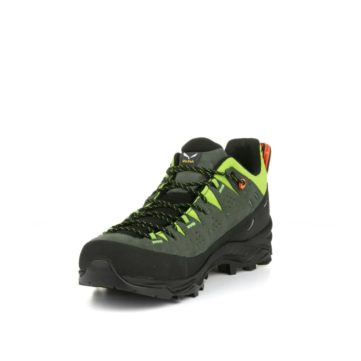 Alp Trainer 2 Shoe Men