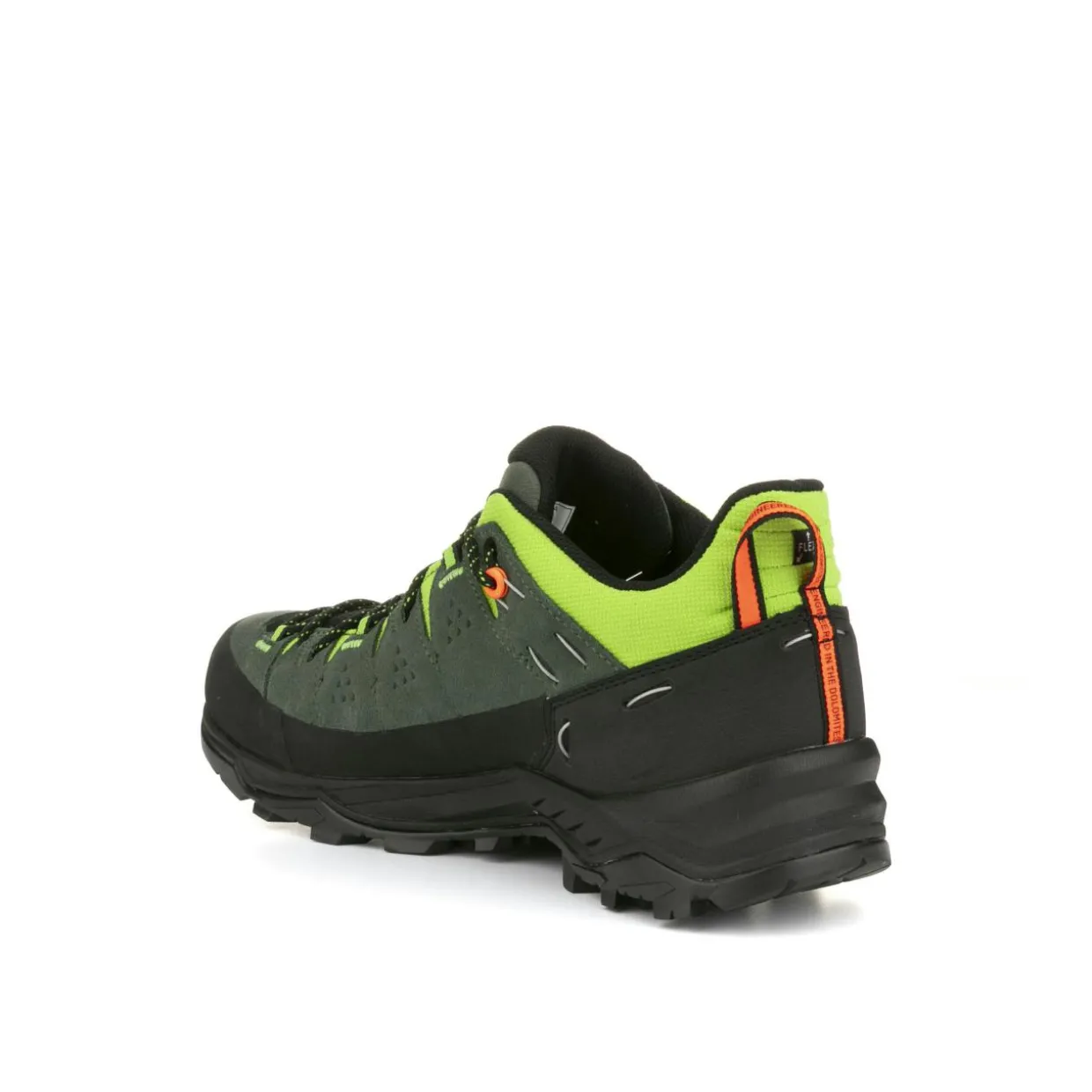 Alp Trainer 2 Shoe Men