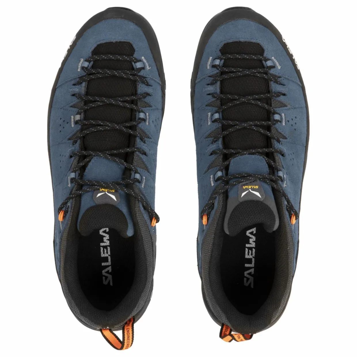 Alp Trainer 2 Shoe Men