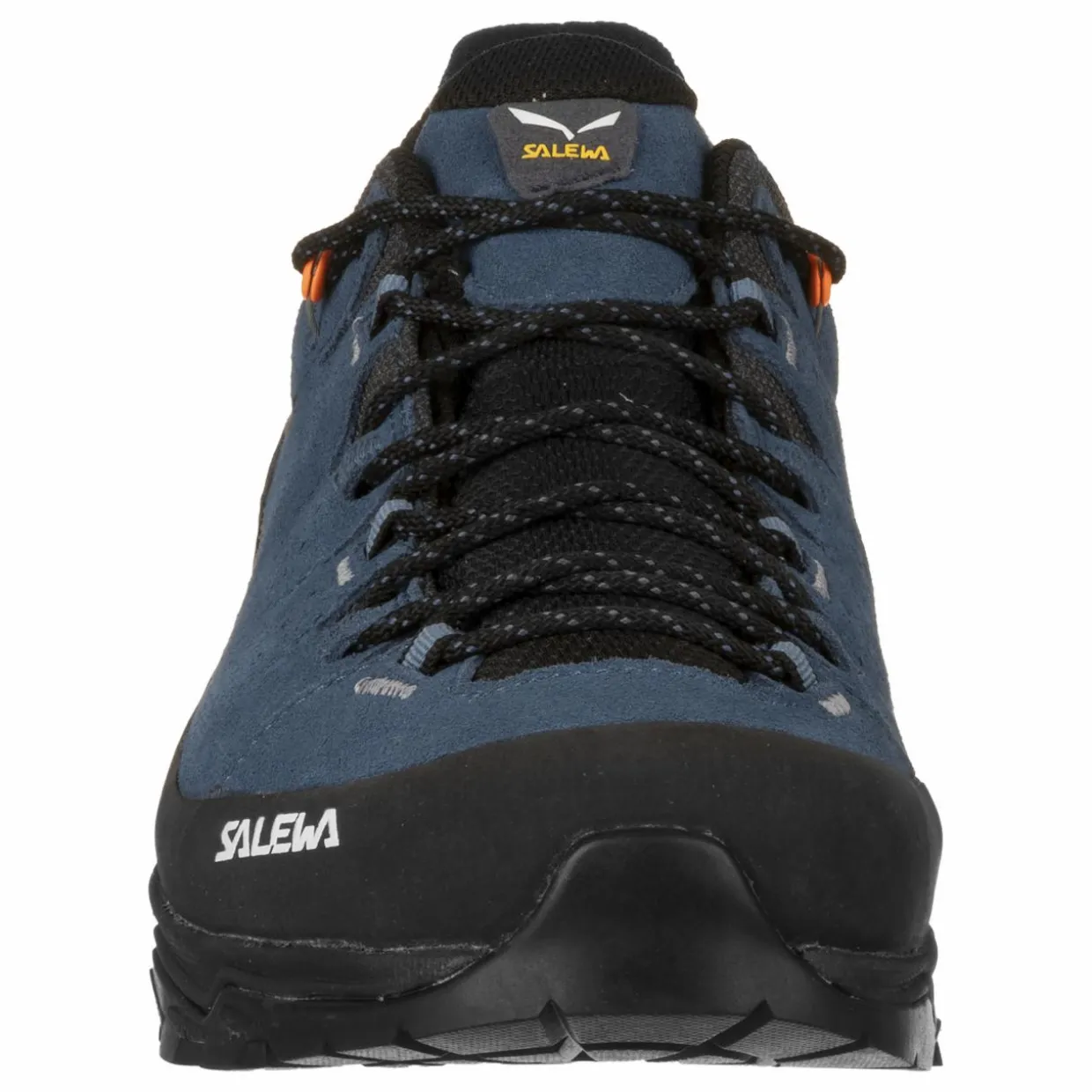 Alp Trainer 2 Shoe Men