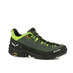 Alp Trainer 2 Shoe Men