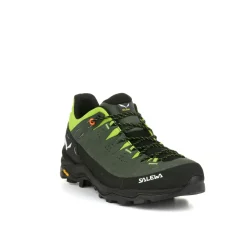 Alp Trainer 2 Shoe Men