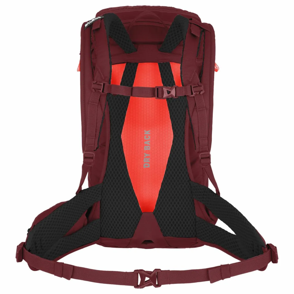 Alp Trainer 20L Backpack Women