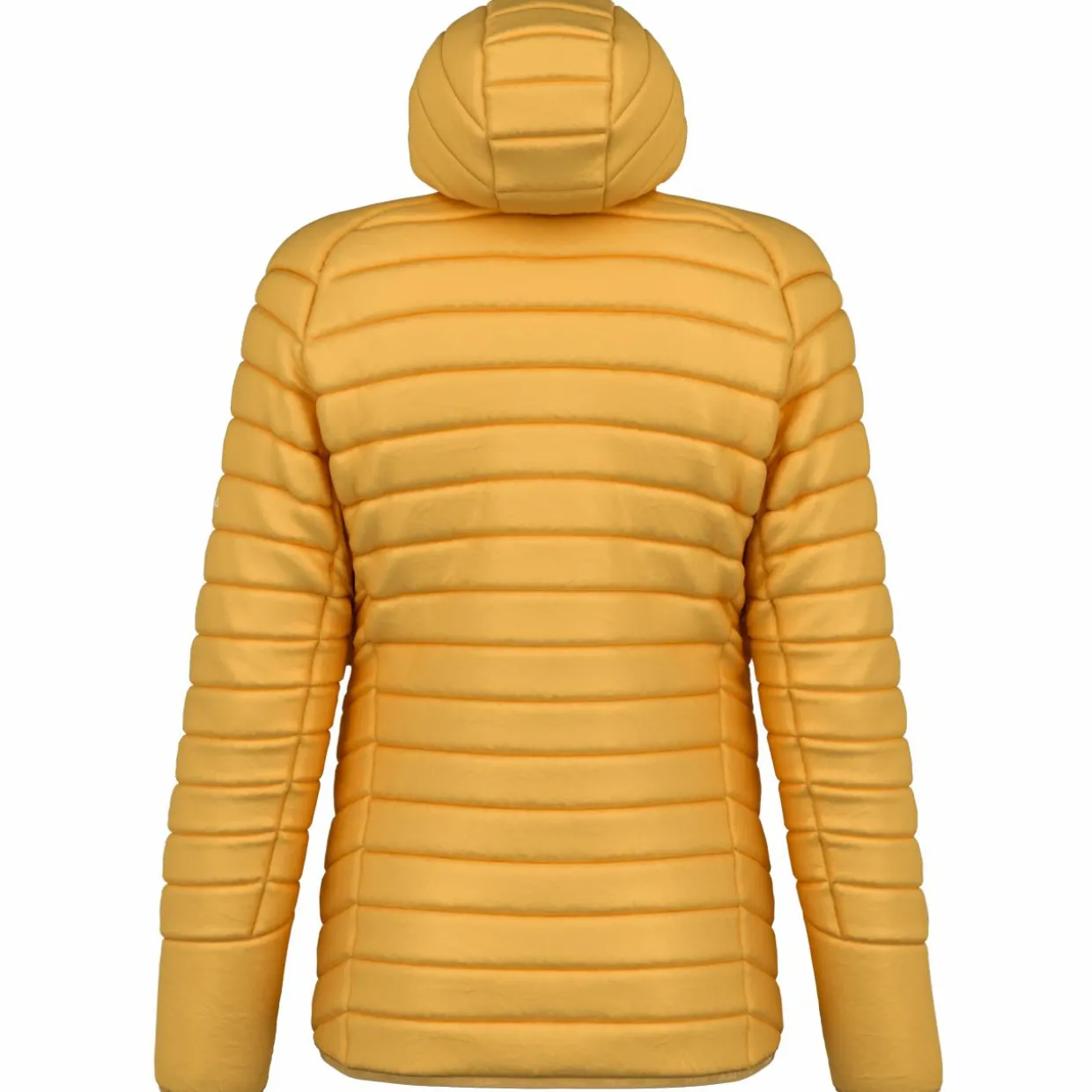 Brenta RDS Down Jacket Men