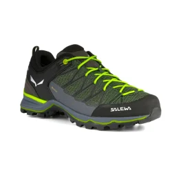 Mountain Trainer Lite GORE-TEX® Men's Shoes