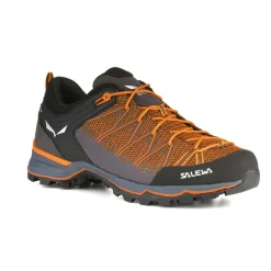 Mountain Trainer Lite Men's Shoes