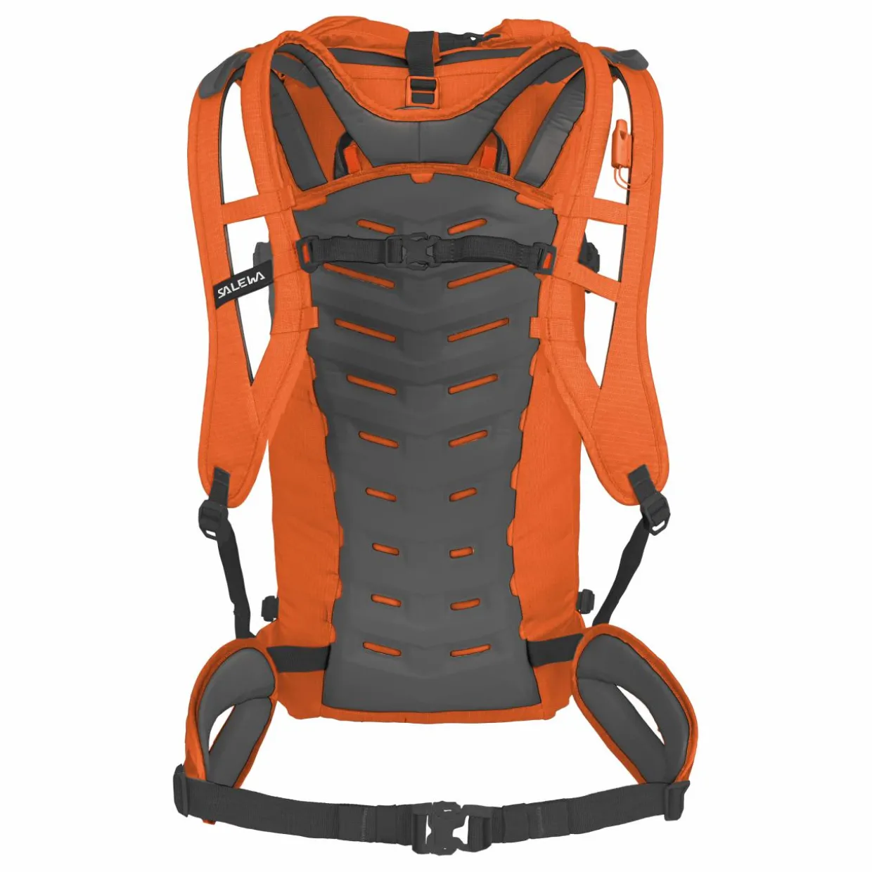 Ortles Wall 38L Backpack