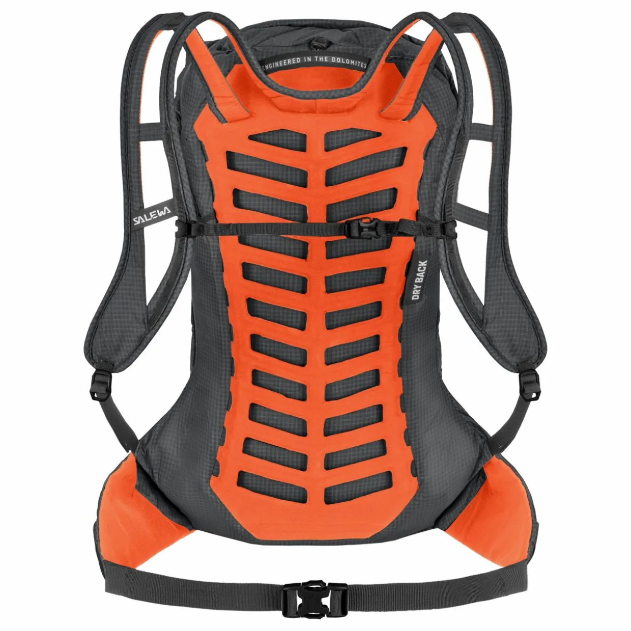 Pedroc Pro 22L Backpack Men
