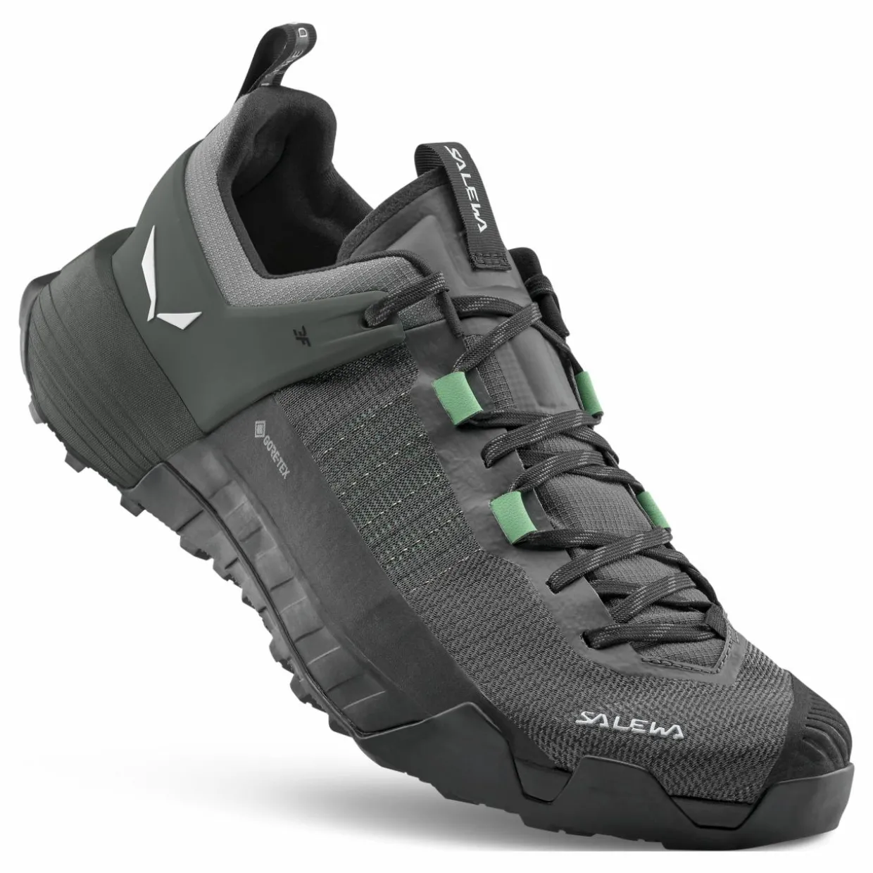 Wildfire NXT GORETEX® Shoe Men