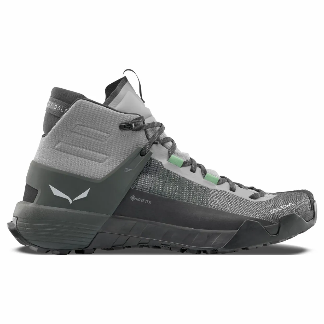 Wildfire NXT MID GORETEX® Shoe Men