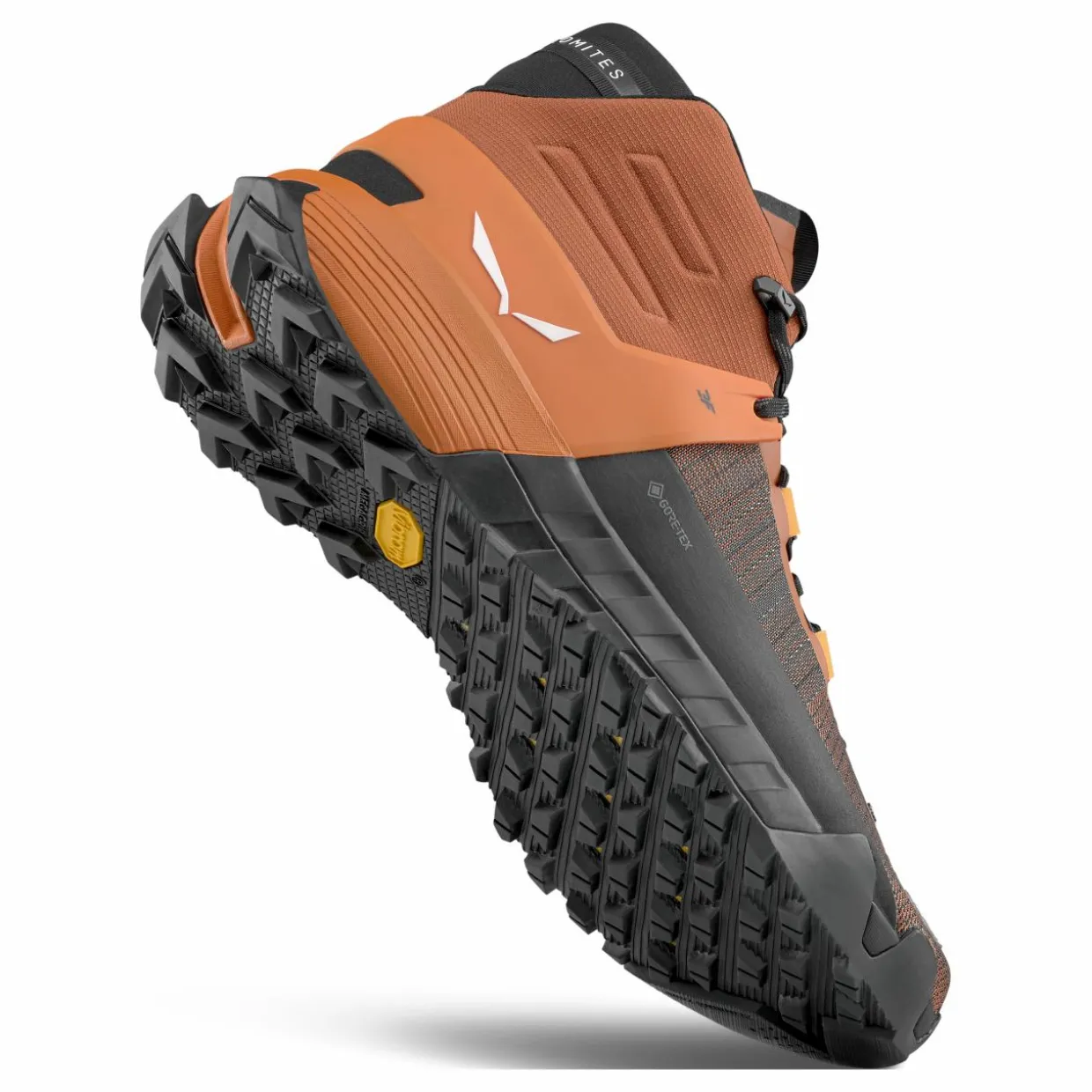 Wildfire NXT MID GORETEX® Shoe Men